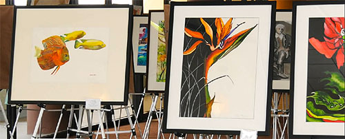 Imagine exhibit